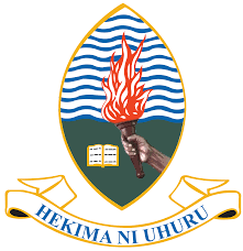 UDSM Logo